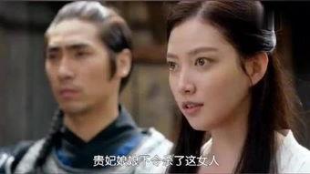 奇皇后30集在线观看,权力巅峰的抉择与命运转折